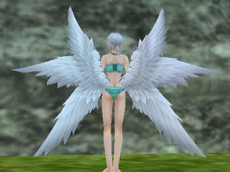 熾天使の翼 - 防具装飾 - Master of Epic 公式データベース